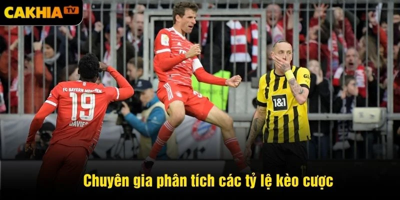 Chuyên gia phân tích các tỷ lệ kèo cược