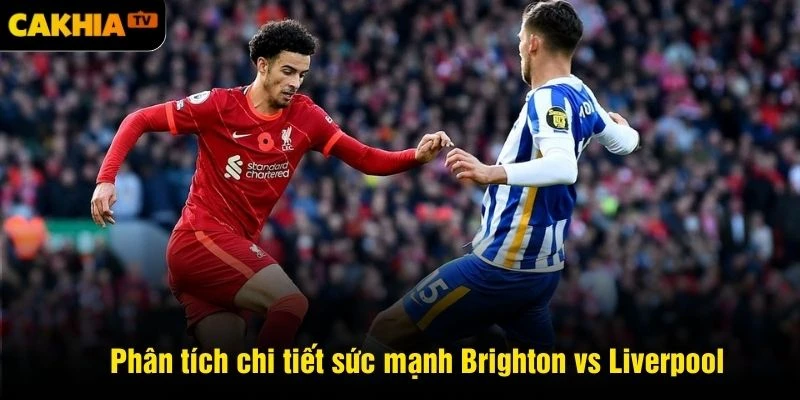 Phân tích chi tiết sức mạnh Brighton vs Liverpool