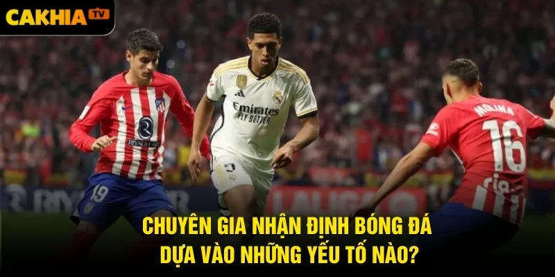 Chuyên gia nhận định bóng đá dựa vào những yếu tố nào?