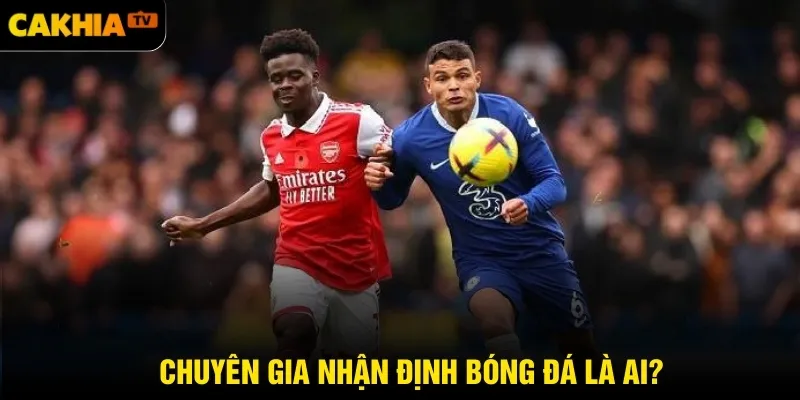 Chuyên gia nhận định bóng đá là ai?