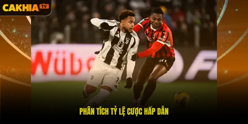 Phân tích tỷ lệ cược hấp dẫn