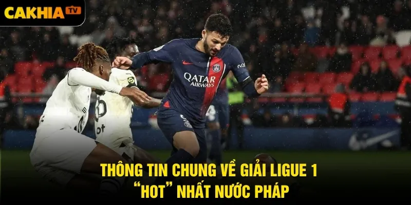 Thông tin chung về giải Ligue 1 “hot” nhất nước Pháp