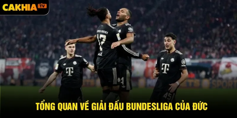 Tổng quan về giải đấu Bundesliga của Đức
